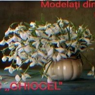 Modelați din talent!